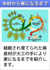 木材から家になるまで